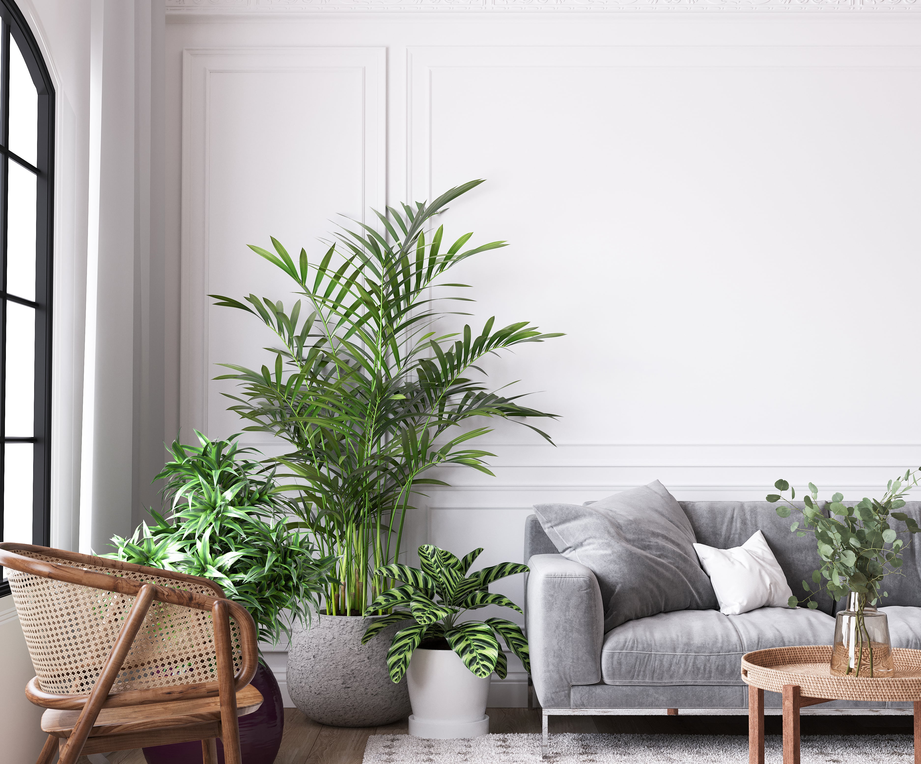 Discover how sealing your ducts can enhance indoor air quality and create a healthier living environment.